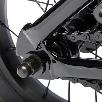 Fit Misfit 12" Bike