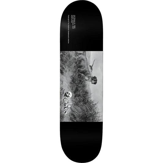 Deathwish Dickson Museum Skateboard Deck 8.5"